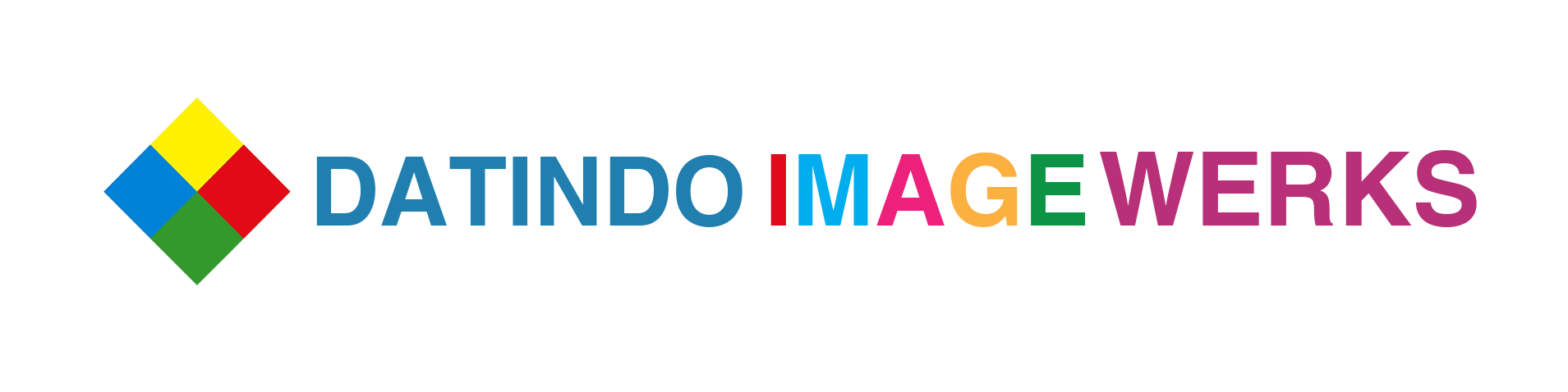 Datindo Image Werks Logo